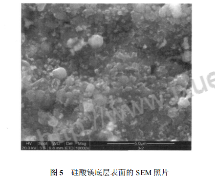 硅酸鎂底層表面的 SEM 照片